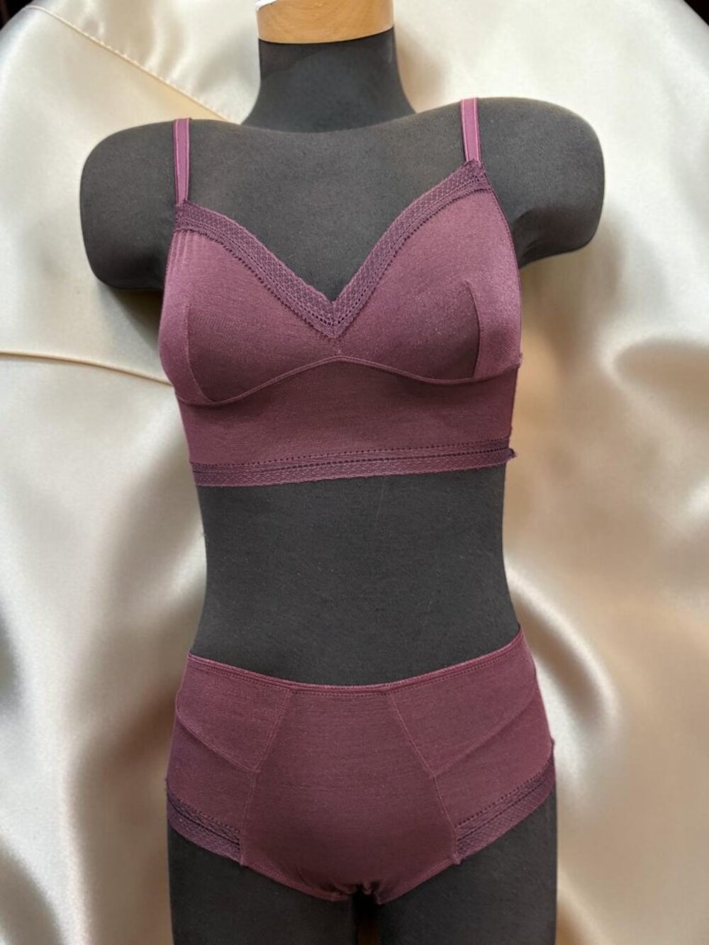 Samantha Chang Soft Burgundy Cup Color Sheer Bra set w Panty Size Small New No